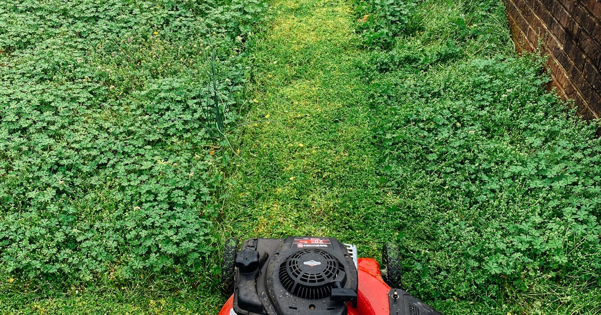 Red lawn mower on freshly cut grass