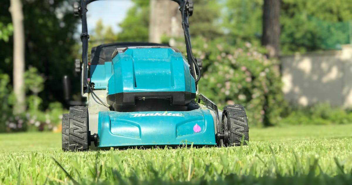 Electric lawn mower on a green lawn