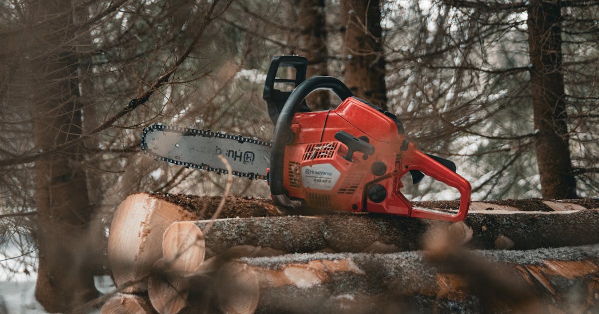 Chainsaw cutting through a log in the forest