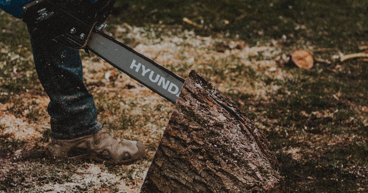 Battery powered chainsaw cutting wood