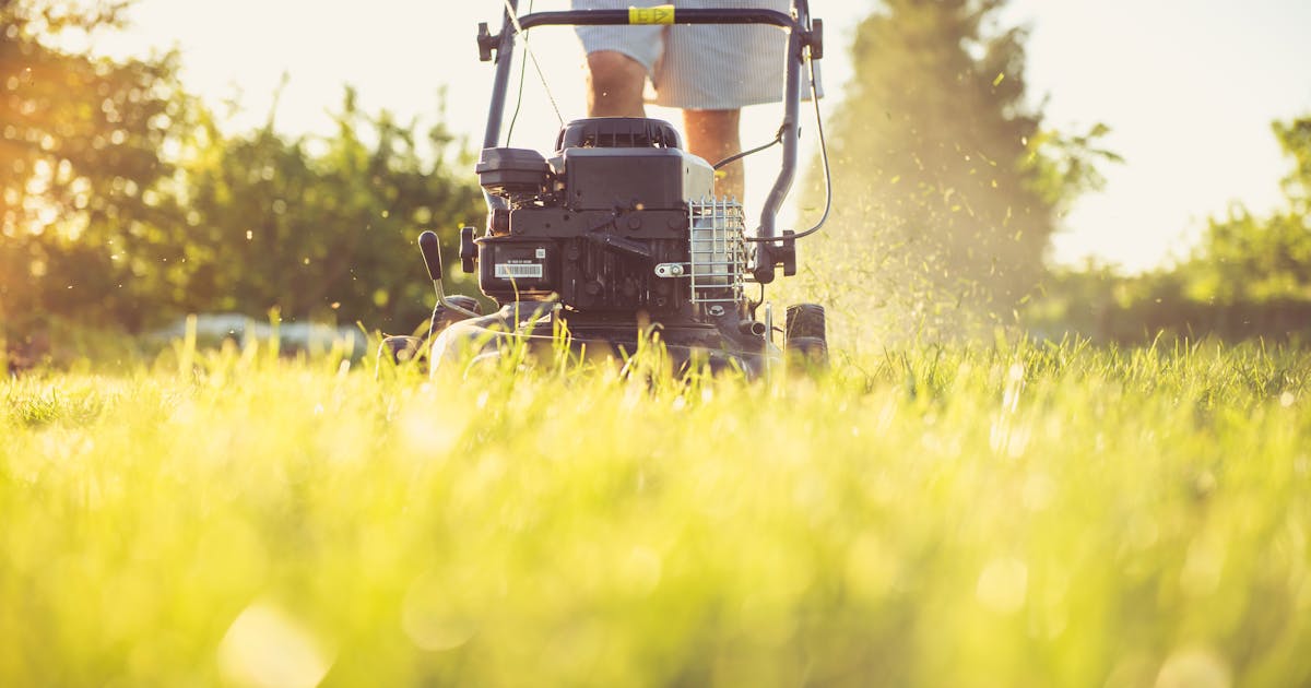 Self-propelled lawn mower on grass