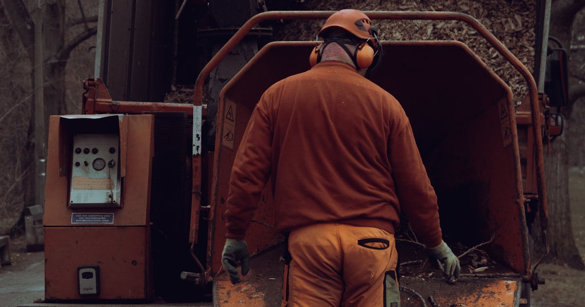 Branches being fed into a wood chipper